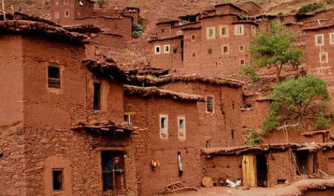 Eve Seymour berber housing