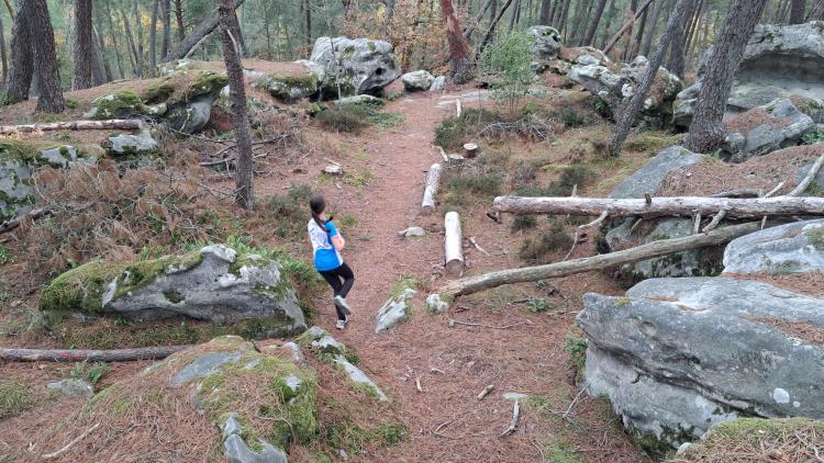 2025, Alethea Carr, Yorkshire and Humberside Junior Squad Orienteering Training,&nbsp;Fontainebleau